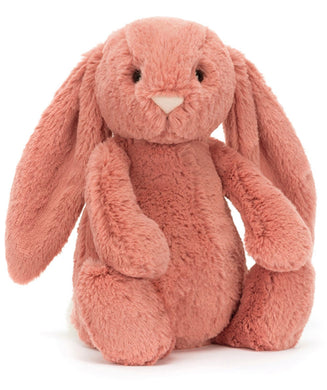 Bashful Sorrel Bunny